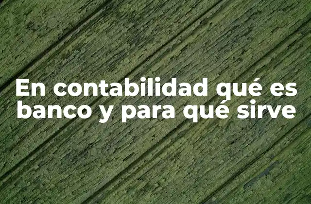 En Contabilidad Qué es Banco y para Qué Sirve