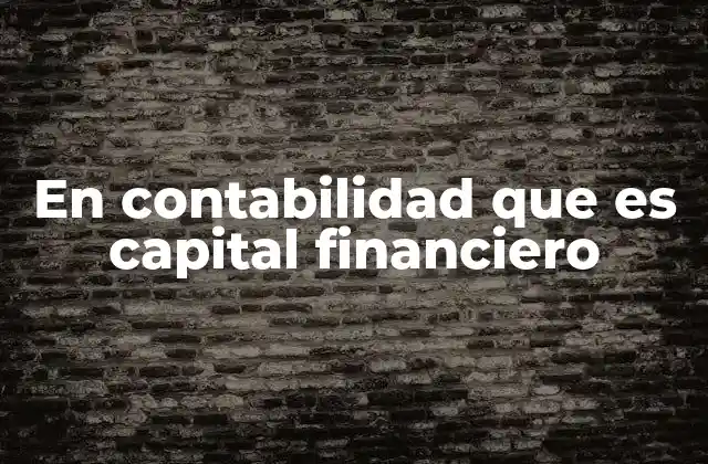 En Contabilidad que es Capital Financiero