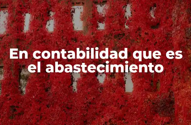 En Contabilidad que es el Abastecimiento