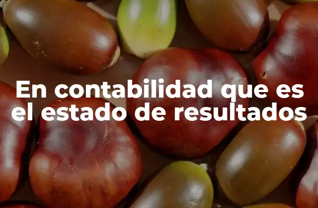 En Contabilidad que es el Estado de Resultados