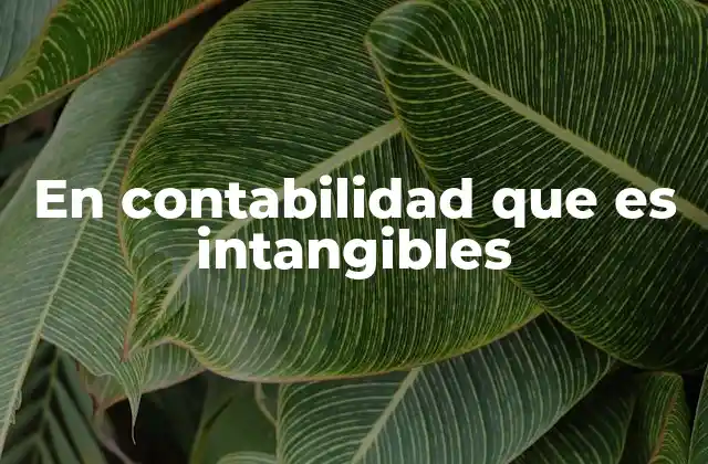 En Contabilidad que es Intangibles