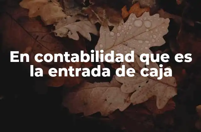 En Contabilidad que es la Entrada de Caja