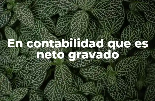 En Contabilidad que es Neto Gravado