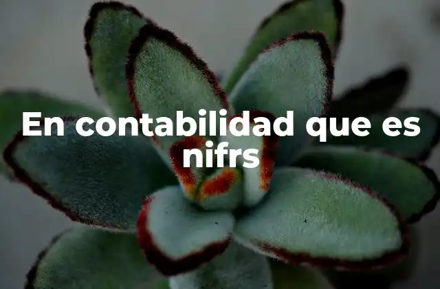 En Contabilidad que es Nifrs 2 La relevancia de las NIFRS en el comercio internacional