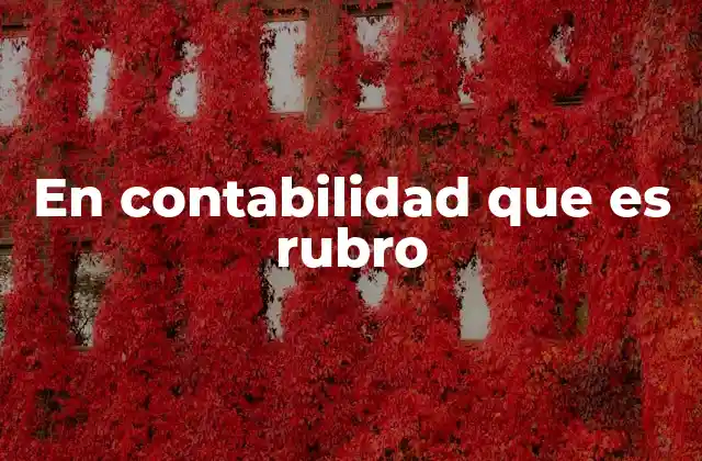 En Contabilidad que es Rubro