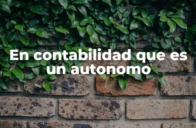 En Contabilidad que es un Autonomo