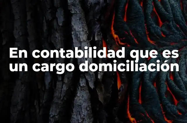 En Contabilidad que es un Cargo Domiciliación