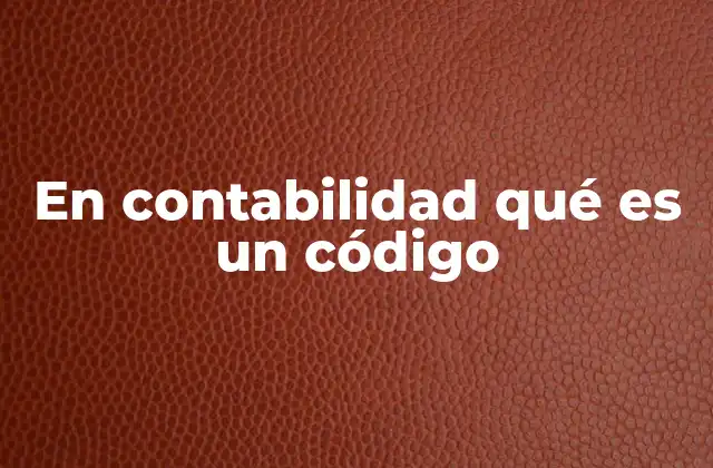 En Contabilidad Qué es un Código