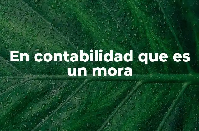 El impacto financiero del mora en una empresa