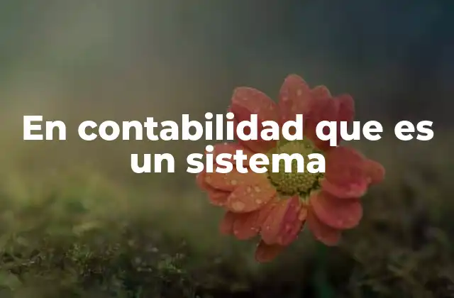 En Contabilidad que es un Sistema