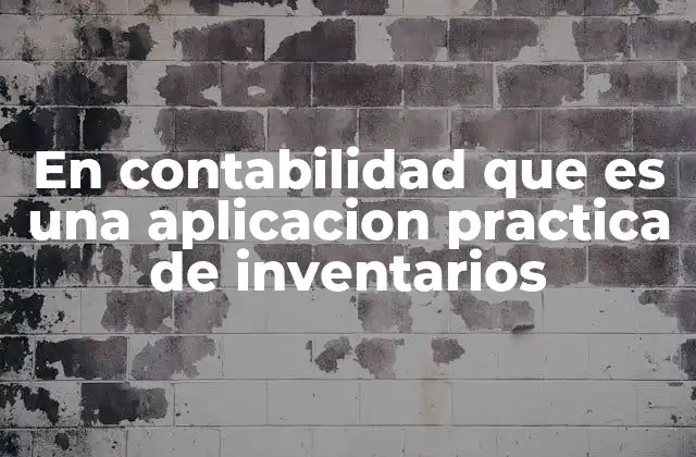 En Contabilidad que es una Aplicacion Practica de Inventarios