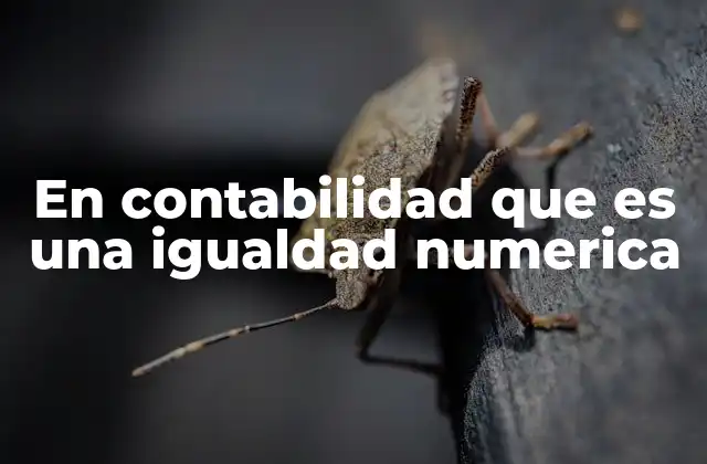 En Contabilidad que es una Igualdad Numerica