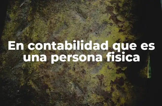 En Contabilidad que es una Persona Fisica