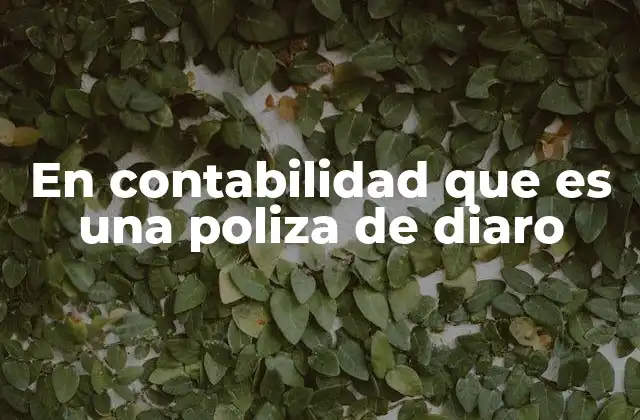En Contabilidad que es una Poliza de Diaro