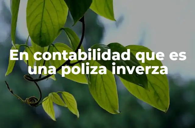 En Contabilidad que es una Poliza Inverza