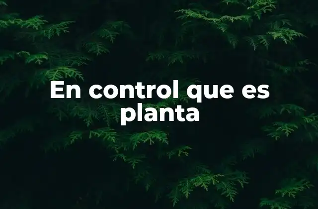 En Control que es Planta