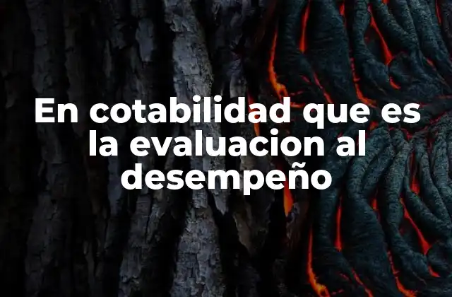 En Cotabilidad que es la Evaluacion Al Desempeño