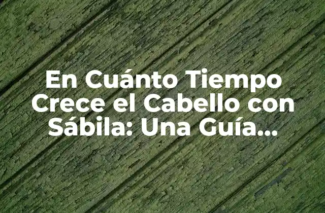 En Cuánto Tiempo Crece el Cabello con Sábila: una Guía Completa