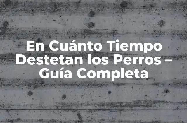 En Cuánto Tiempo Destetan los Perros – Guía Completa