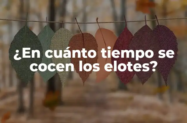 ¿en Cuánto Tiempo Se Cocen los Elotes?