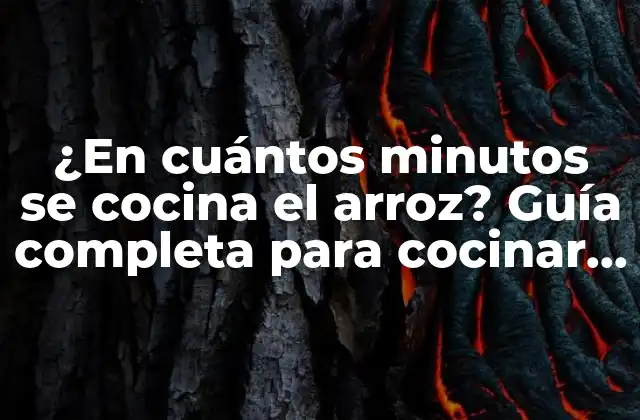 ¿en Cuántos Minutos Se Cocina el Arroz? Guía Completa para Cocinar Arroz Perfecto