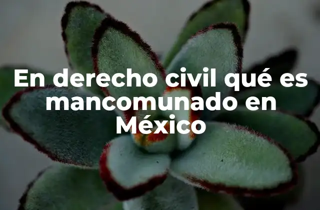 En Derecho Civil Qué es Mancomunado en México