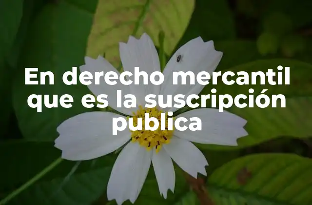En Derecho Mercantil que es la Suscripción Publica