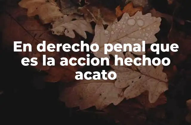 En Derecho Penal que es la Accion Hechoo Acato