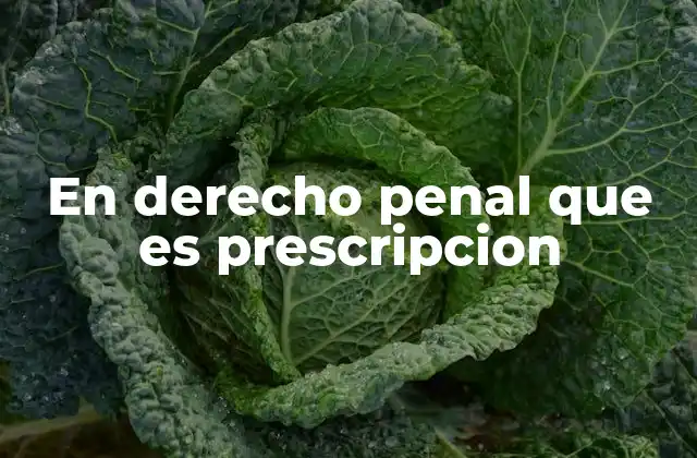 En Derecho Penal que es Prescripcion