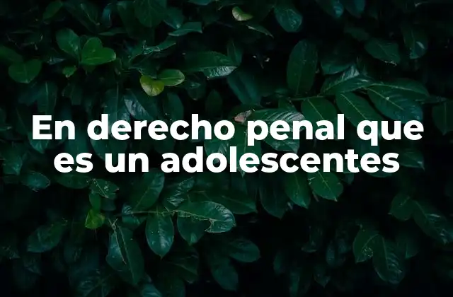 En Derecho Penal que es un Adolescentes