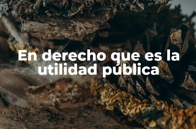 En Derecho que es la Utilidad Pública