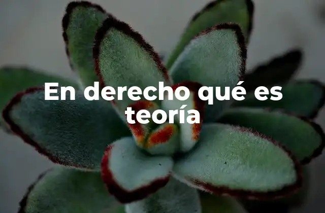 En Derecho Qué es Teoría