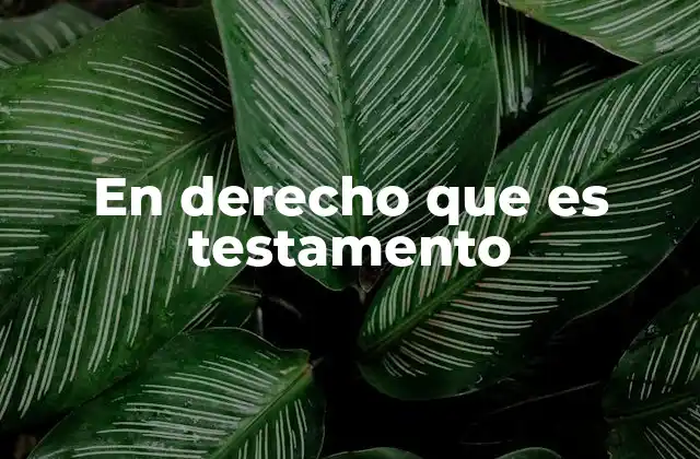 En Derecho que es Testamento
