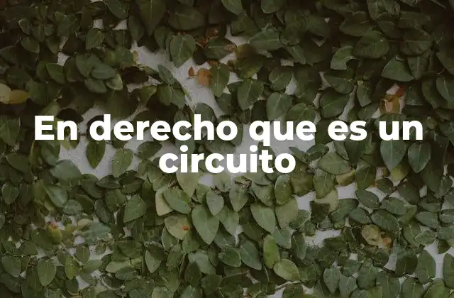 En Derecho que es un Circuito