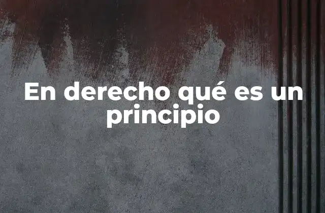 En Derecho Qué es un Principio