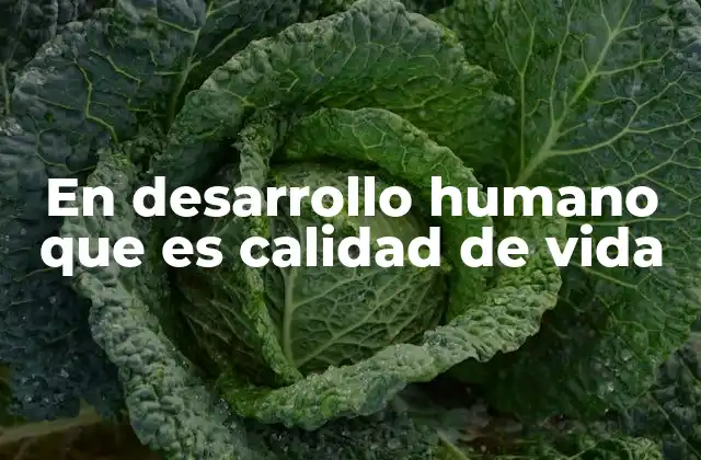 En Desarrollo Humano que es Calidad de Vida