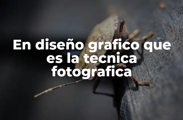 En Diseño Grafico que es la Tecnica Fotografica
