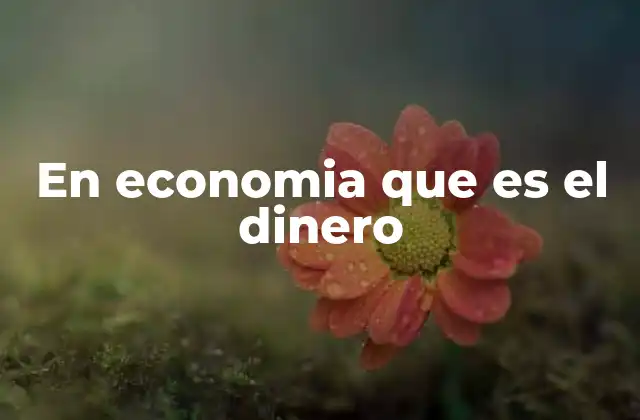 En Economia que es el Dinero