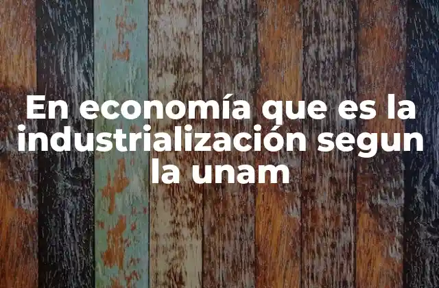 En Economía que es la Industrialización Segun la Unam