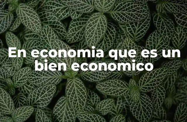 En Economia que es un Bien Economico