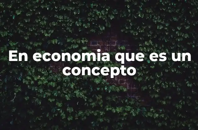 La importancia de los conceptos en el análisis económico