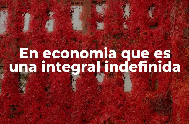 En Economia que es una Integral Indefinida