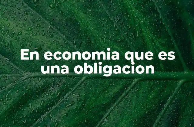 En Economia que es una Obligacion