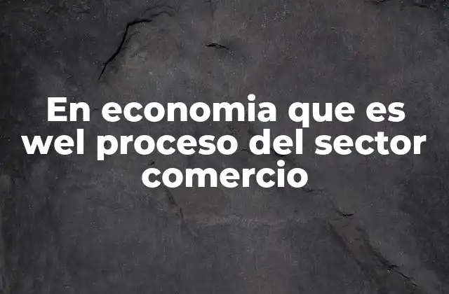 En Economia que es Wel Proceso Del Sector Comercio