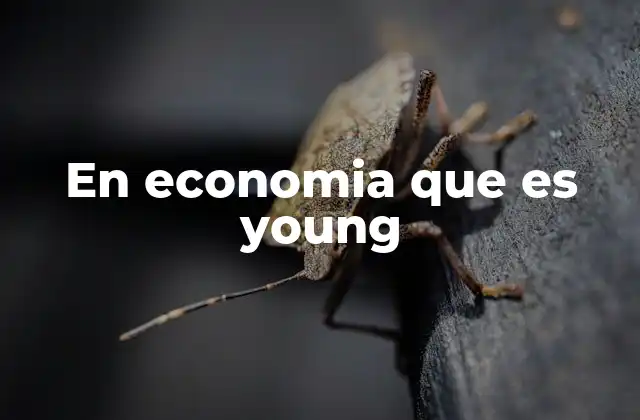 En Economia que es Young