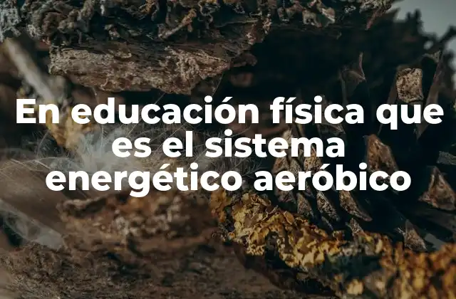 El rol del sistema aeróbico en la mejora de la condición física
