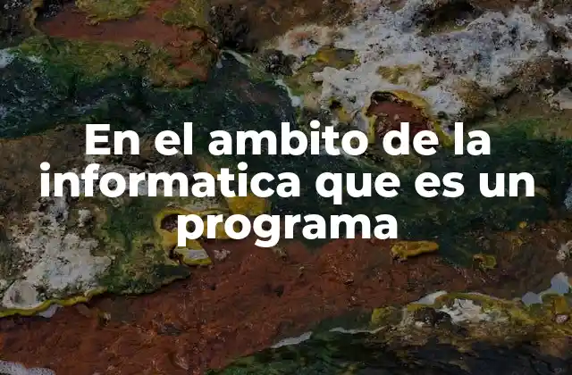 Cómo funciona un programa en el entorno digital
