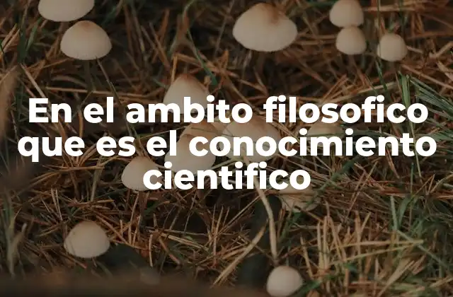 En el Ambito Filosofico que es el Conocimiento Cientifico