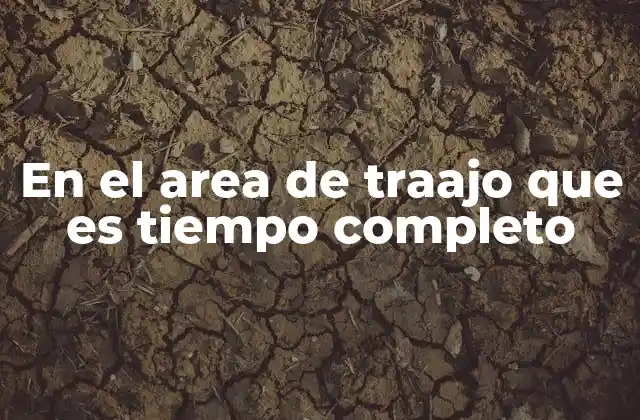 En el Area de Traajo que es Tiempo Completo