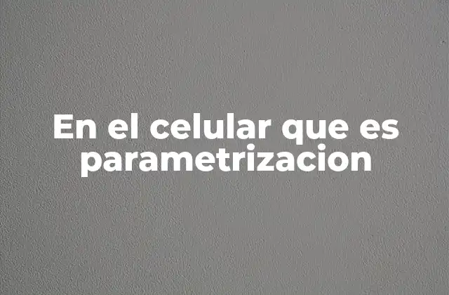 En el Celular que es Parametrizacion